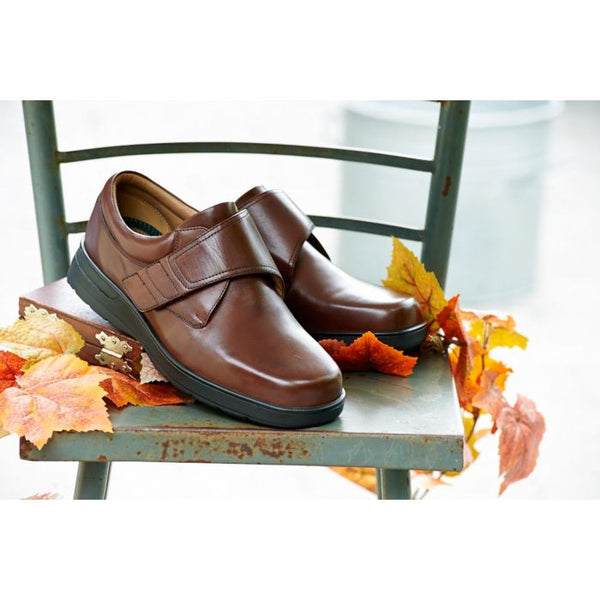 DB Shoes Benny 89212B Brown Leather Extra Wide