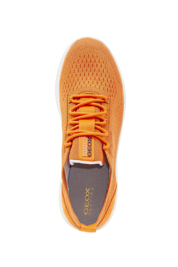 GEOX Ladies Sperica D15NUA06K22C7007